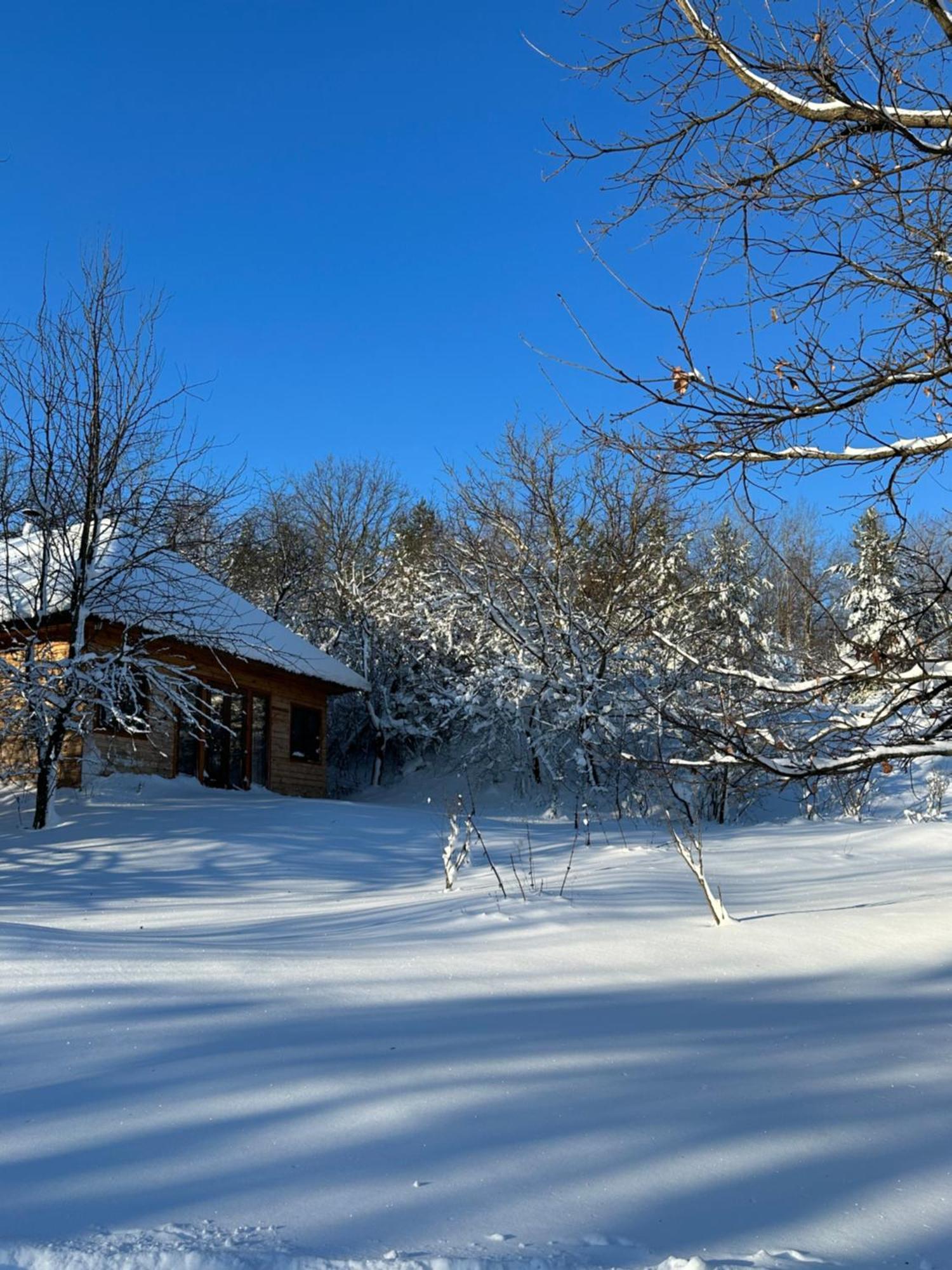 Козацька Фортеця Pliskachevka Exterior photo